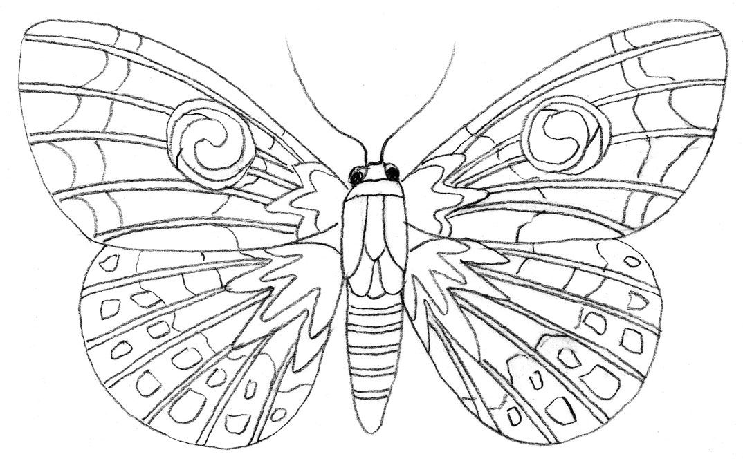 Colouring pages (easy): Butterfly - blue - template