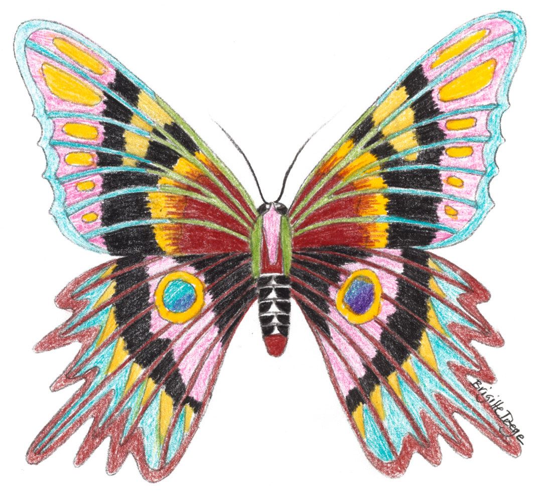 Colouring pages (easy): Butterfly - red